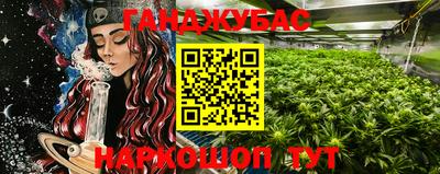 индика Конаково
