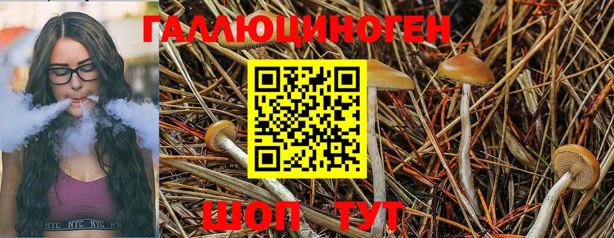 Псилоцибиновые грибы Magic Shrooms  Вход с VPN  Галлюциногенные грибы Cubensis  Котовск 
